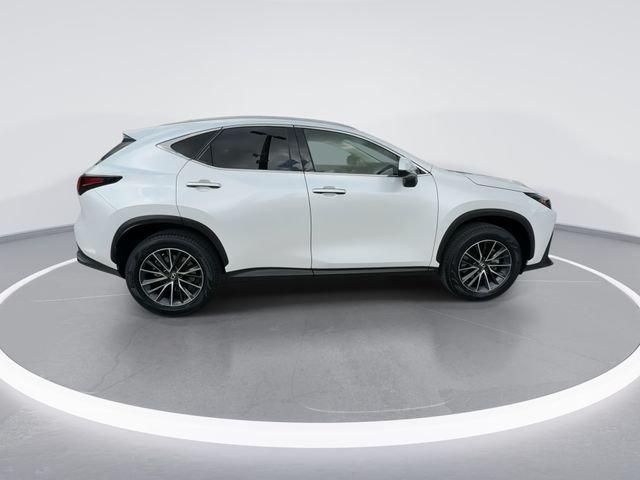 Lexus Nx 250 Base - Thumbnail 10
