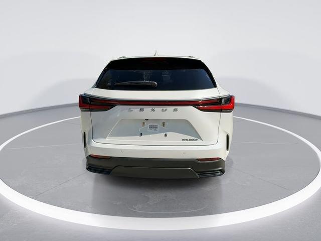 Lexus Nx 250 Premium - Thumbnail 8