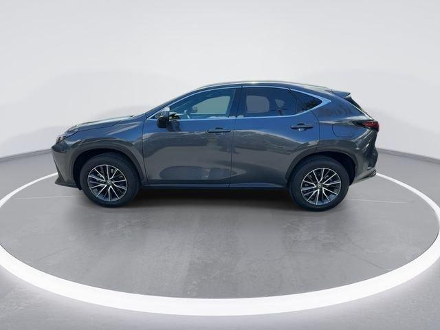 Lexus Nx 250 Premium - Thumbnail 6