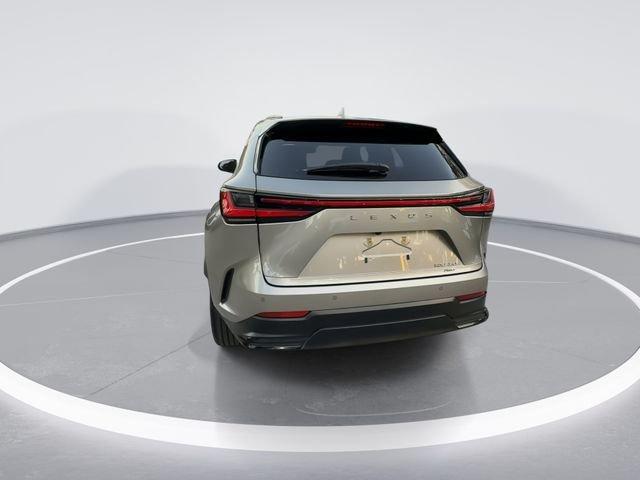 Lexus Nx 350 Luxury - Thumbnail 7