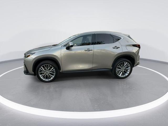 Lexus Nx 350 Luxury - Thumbnail 5