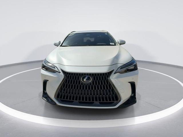 Lexus Nx 350 Premium - Thumbnail 4