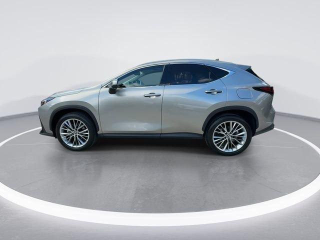 Lexus Nx 350 Luxury - Thumbnail 6