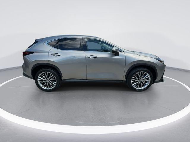 Lexus Nx 350 Luxury - Thumbnail 10