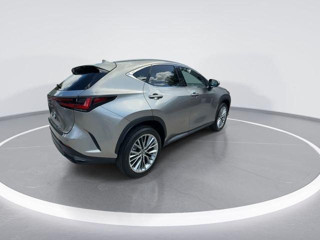 Lexus Nx 350 Luxury - Thumbnail 9