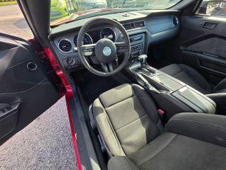 Ford Mustang - Thumbnail 20