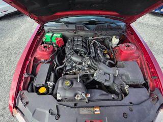 Ford Mustang - Thumbnail 4