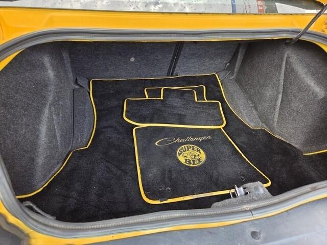 Dodge Challengerr/T Scat Pack Shaker - Thumbnail 13