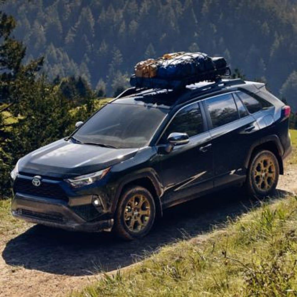 Toyota Rav4 | Earl Stewart Toyota - Thumbnail 2