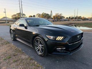 Ford Mustang - Thumbnail 8