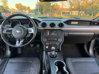 Ford Mustang - Thumbnail 16