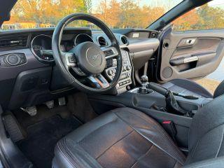 Ford Mustang - Thumbnail 17