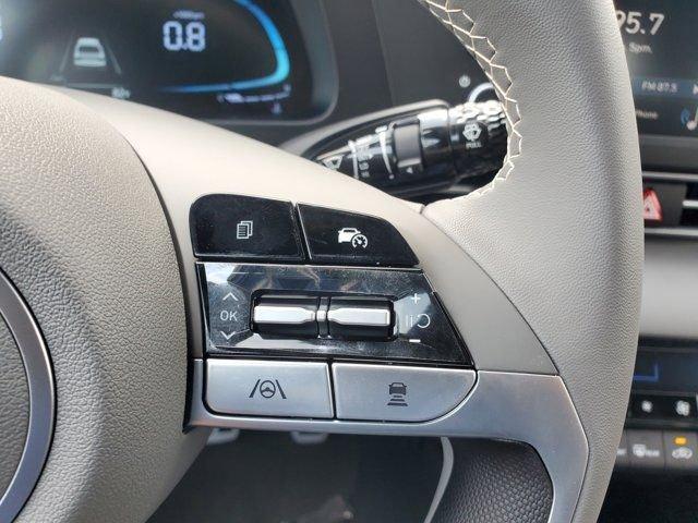 Hyundai Elantra Sel Sport Premium Fwd 4D Sedan - Thumbnail 17