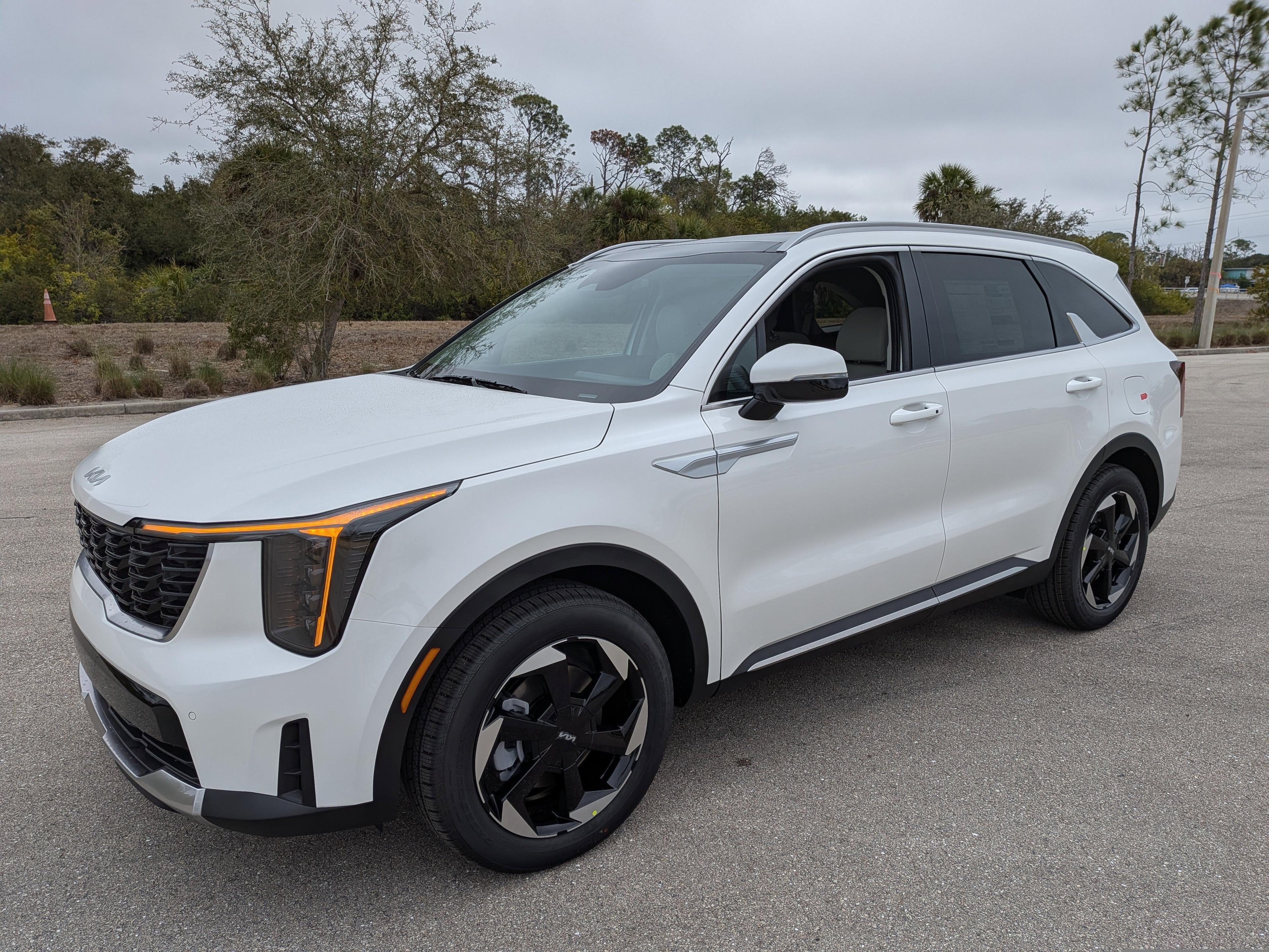 Kia Sorento Hybrid Ex - Thumbnail 10