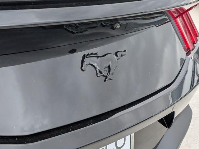 Ford Mustang Ecoboost - Thumbnail 9