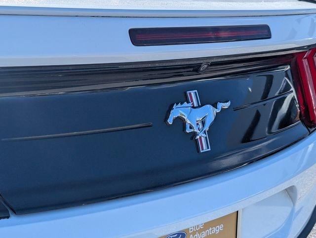 Ford Mustang Ecoboost Premium - Thumbnail 12