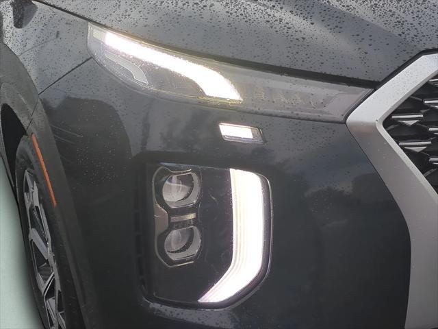 Hyundai Palisade Calligraphy - Thumbnail 18