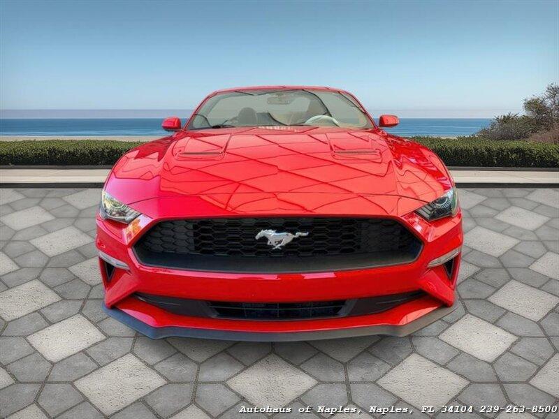 Ford Mustang EcoBoost - Thumbnail 3