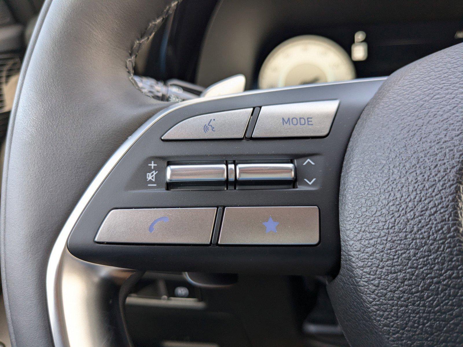 Hyundai Palisade Calligraphy Night Edition Awd All Wheel Drive Sport Utility - Thumbnail 20