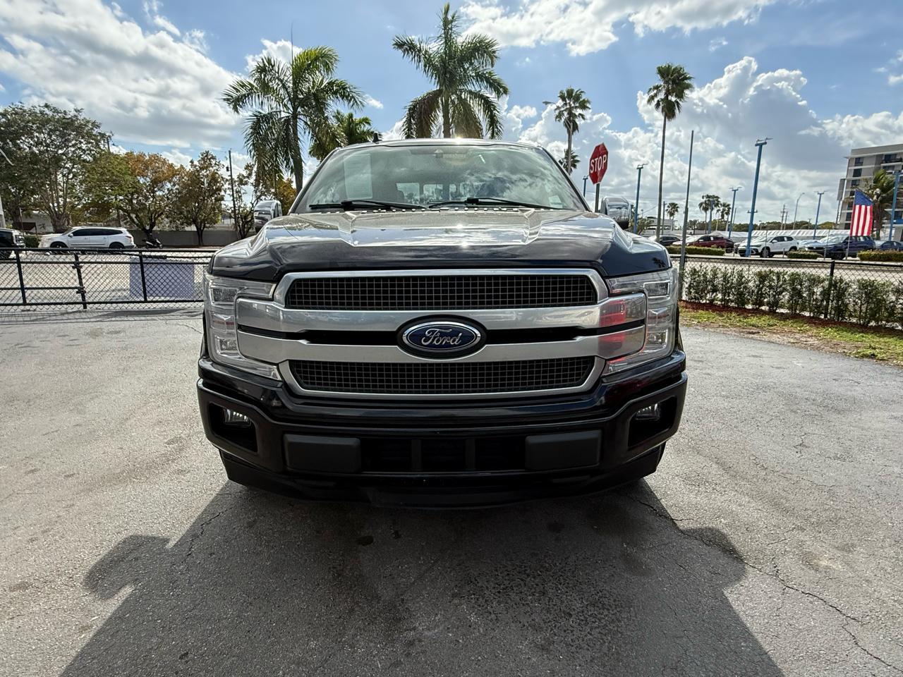 Ford F-150 2Wd Supercrew 145" Platinum - Thumbnail 11