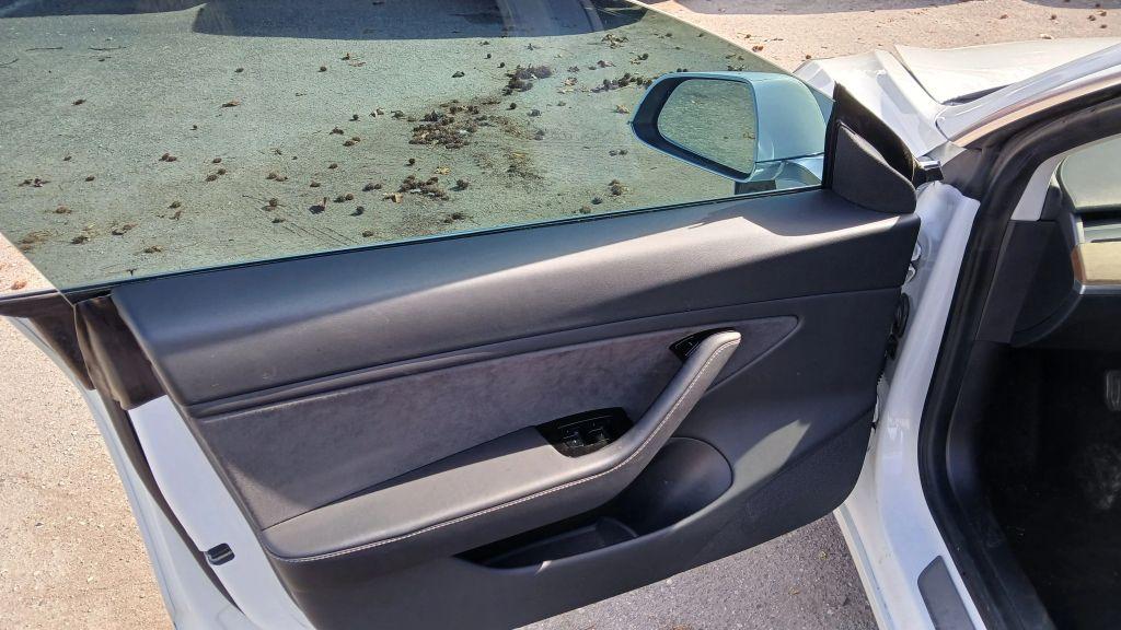 Tesla Model 3 - Thumbnail 14