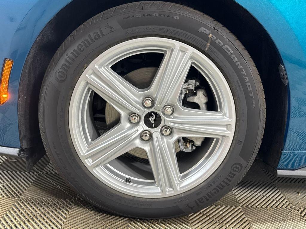 Ford Mustang Ecoboost Rwd 2D Coupe - Thumbnail 19