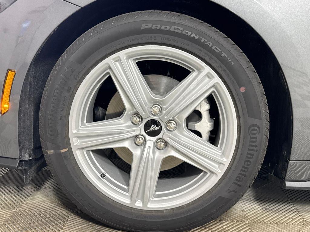 Ford Mustang Ecoboost Rwd 2D Coupe - Thumbnail 19