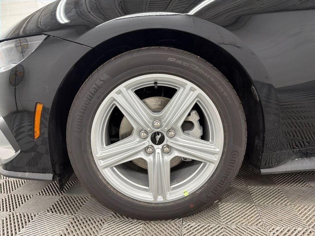 Ford Mustang Ecoboost Rwd 2D Coupe - Thumbnail 13