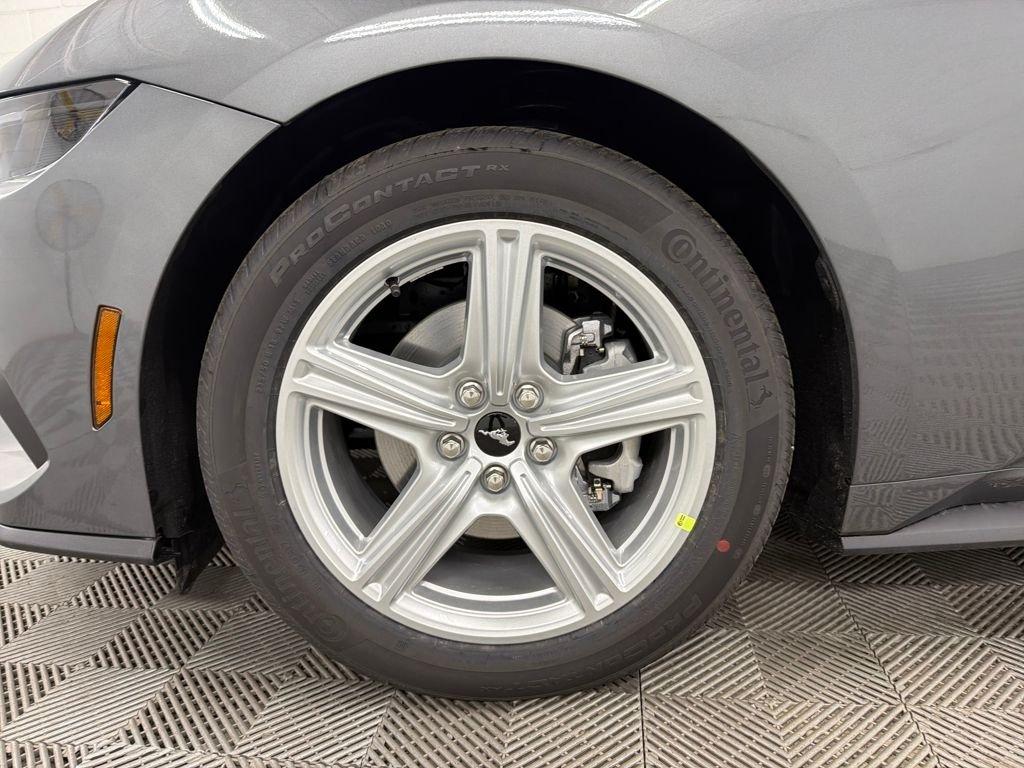 Ford Mustang Ecoboost Rwd 2D Coupe - Thumbnail 13