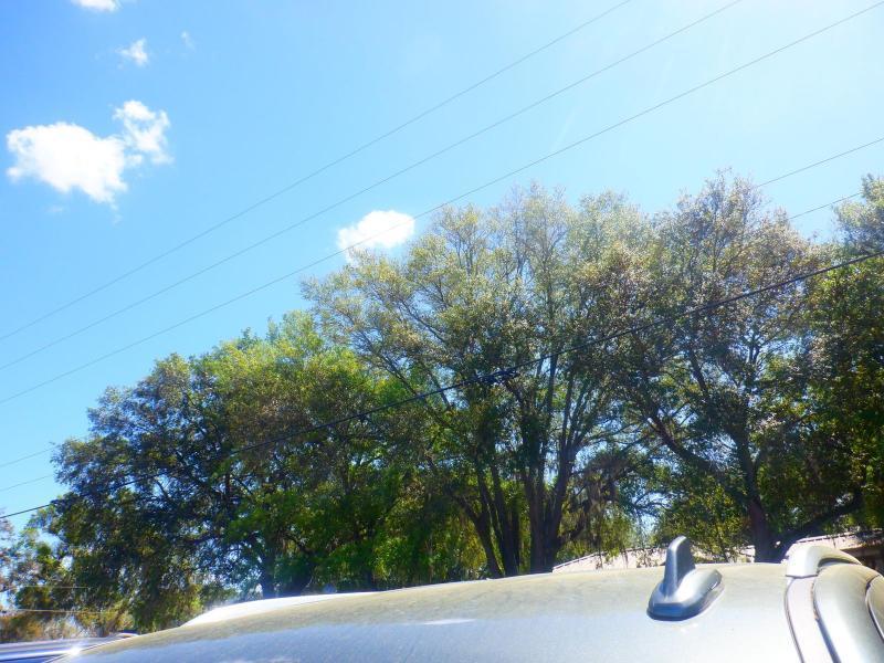 Chevrolet Suburbanpremier 1Lz - Thumbnail 3