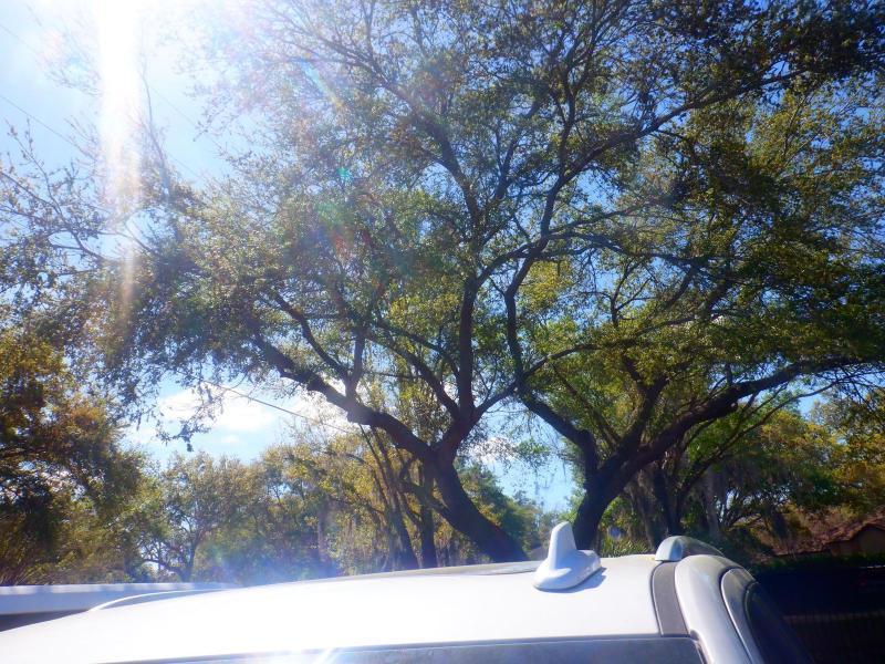 Chevrolet Tahoehigh Country 4Wd Premium Pkg - Thumbnail 3