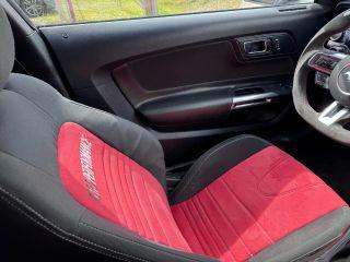 Ford Mustang - Thumbnail 17