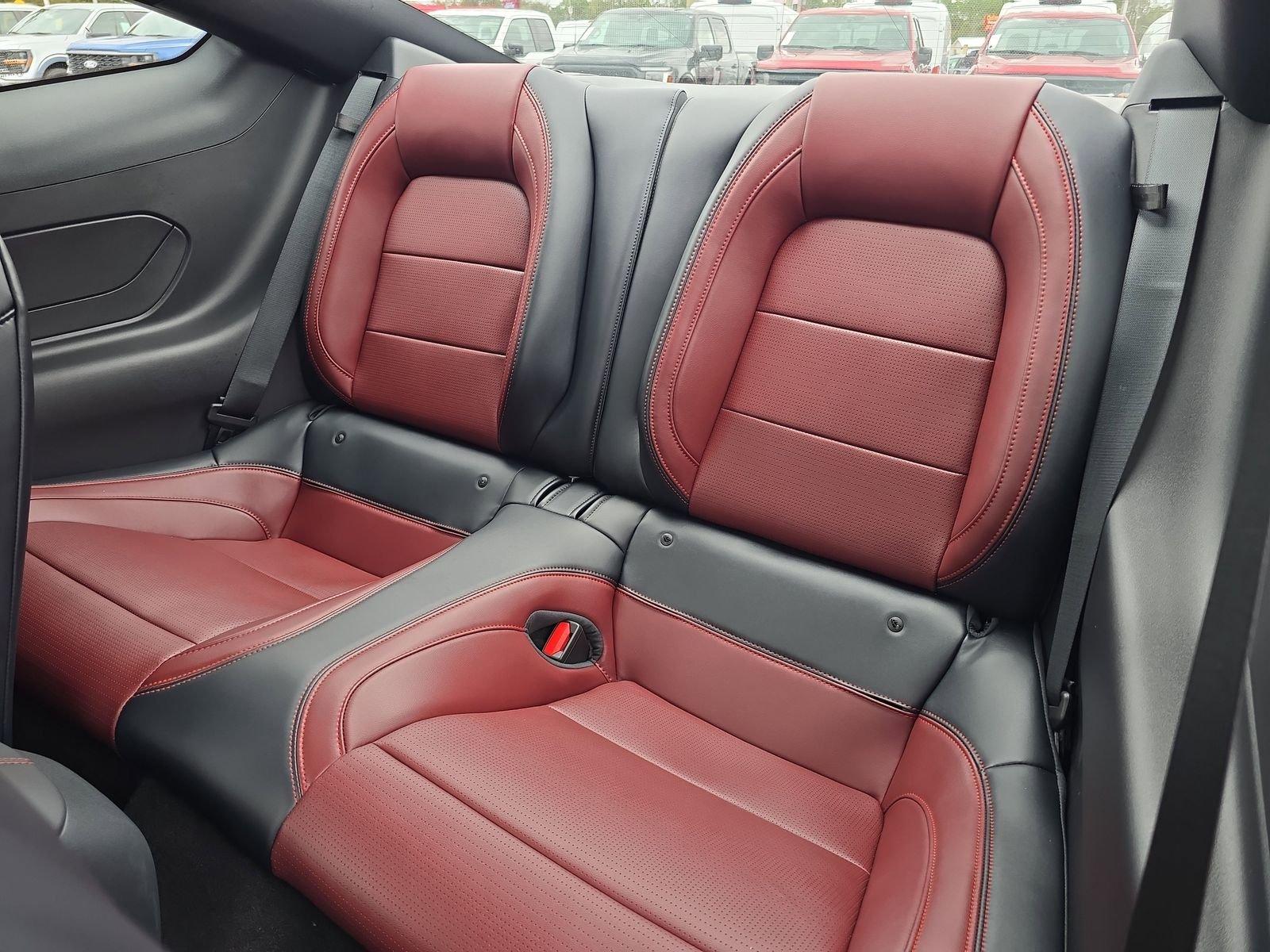 Ford Mustang Ecoboost Rwd Fastback - Thumbnail 11