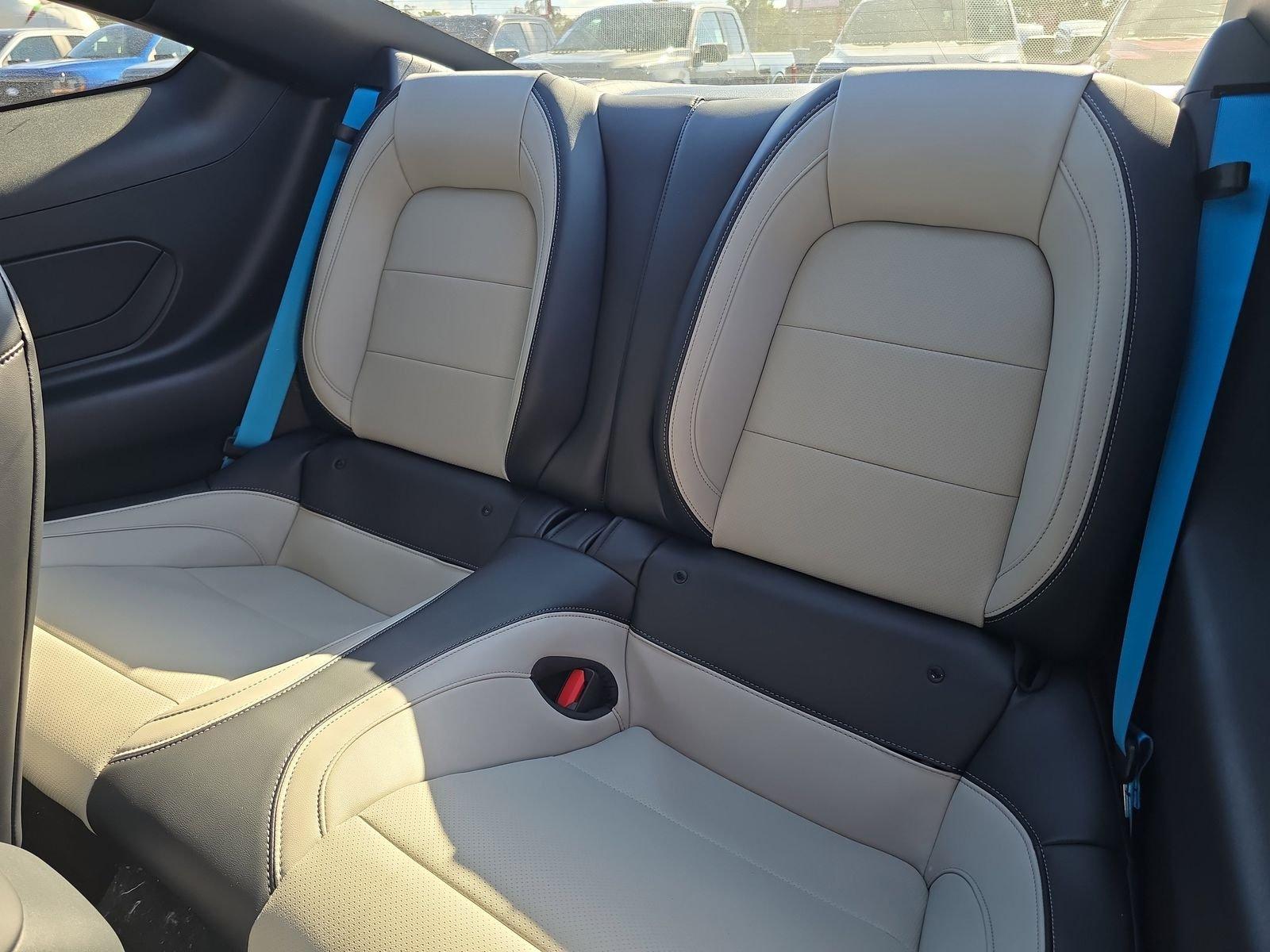 Ford Mustang Ecoboost Premium Rwd Fastback - Thumbnail 11