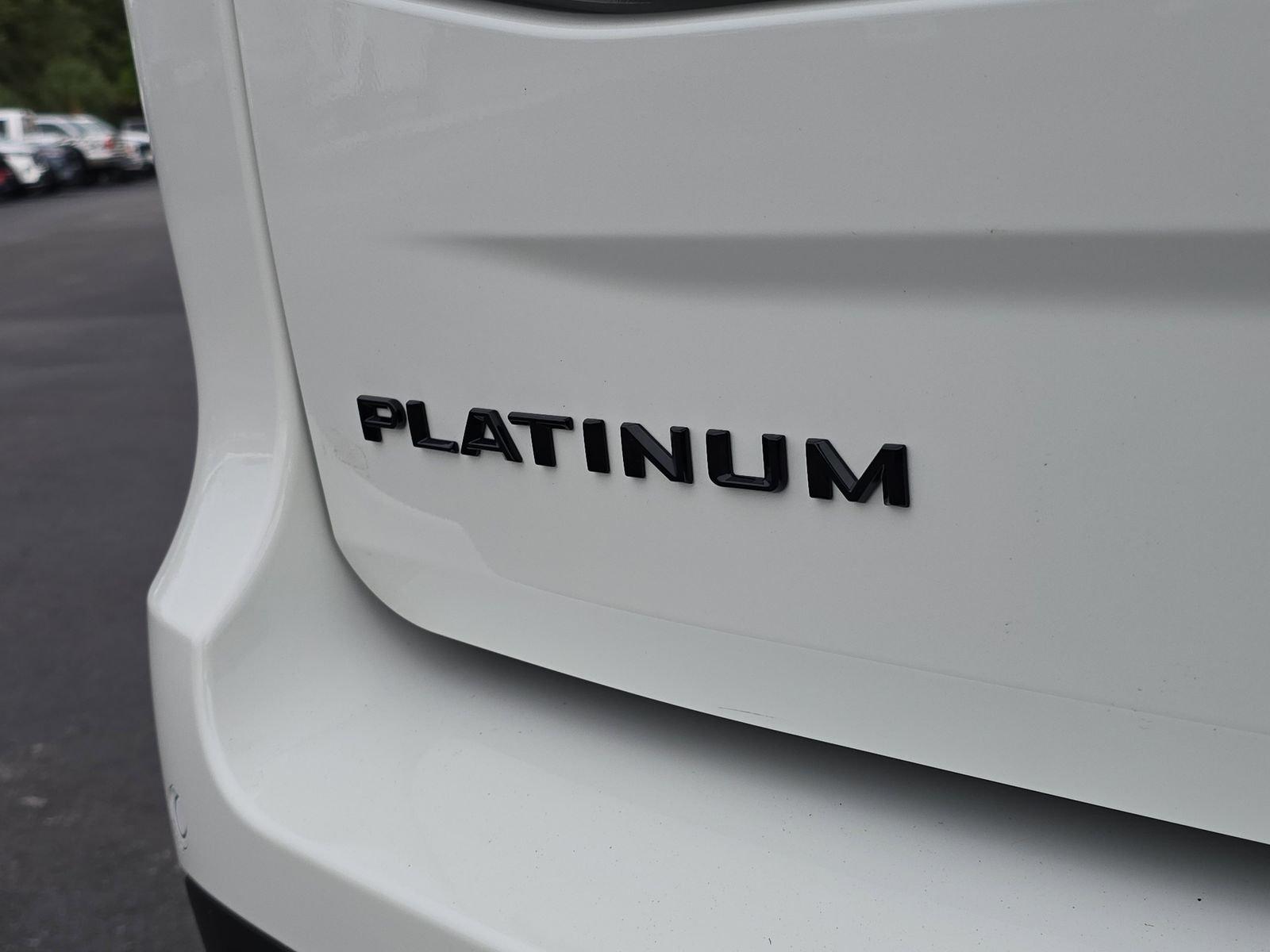 Ford Expedition Platinum 4X4 Regular - Thumbnail 7