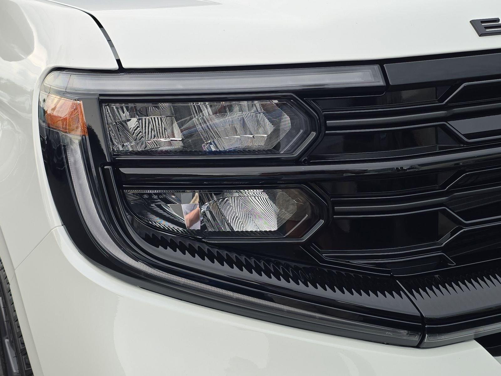 Ford Expedition Platinum 4X4 Regular - Thumbnail 9