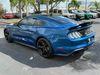 Ford Mustang Gt Premium Coyote 5.0 Gt Exhaust 3.55 Nite Pony | Plant City Florida | Bayshore Automotive - Thumbnail 12