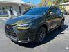 Lexus Nx 250 Nx250 Nori Green Pearl Carfax Cert 1Owner Warranty | Plant City Florida | Bayshore Automotive - Thumbnail 11