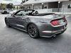 Ford Mustang Mustang Convertible Premium Ecoboost | Plant City Florida | Bayshore Automotive - Thumbnail 8