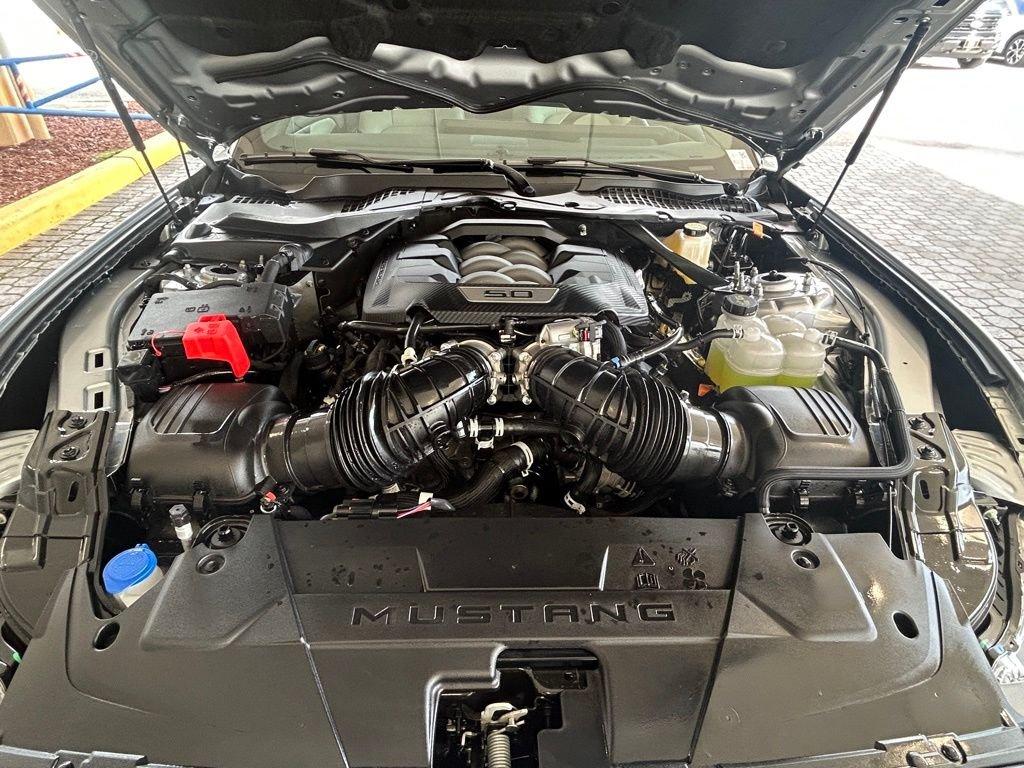 Ford Mustang Gt Premium Fastback Rwd Fastback - Thumbnail 20