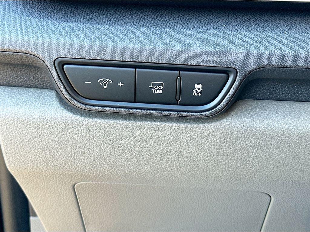 Kia Carnival Mpv Hybrid Ex - Thumbnail 11