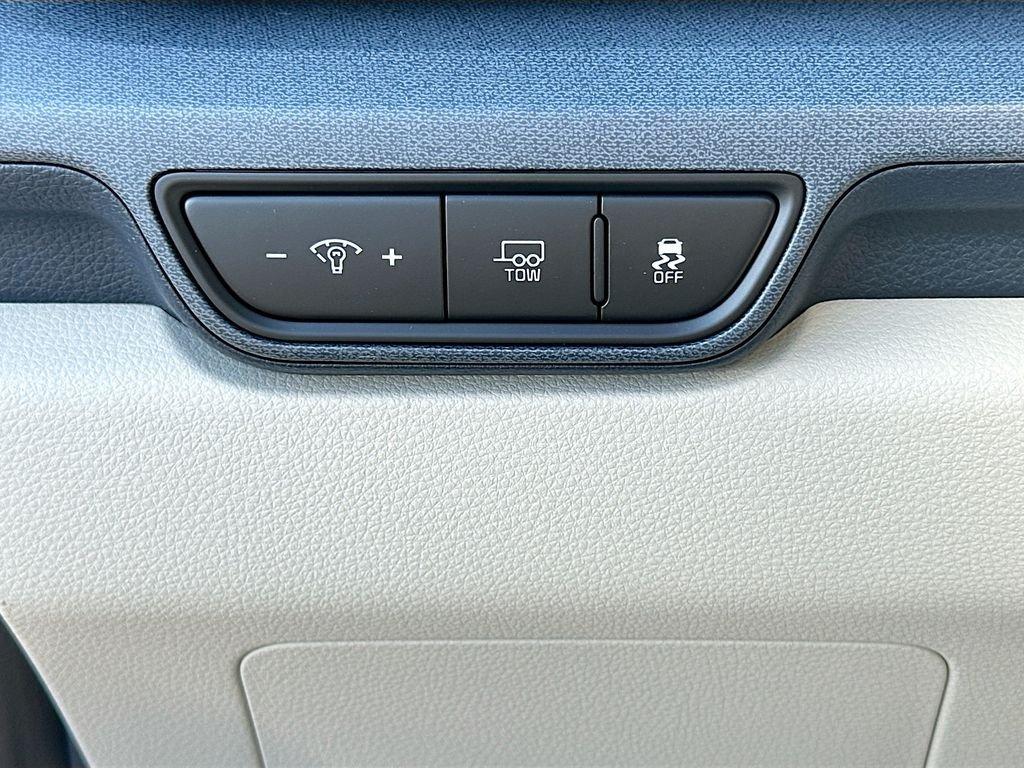 Kia Carnival Mpv Hybrid Ex - Thumbnail 11