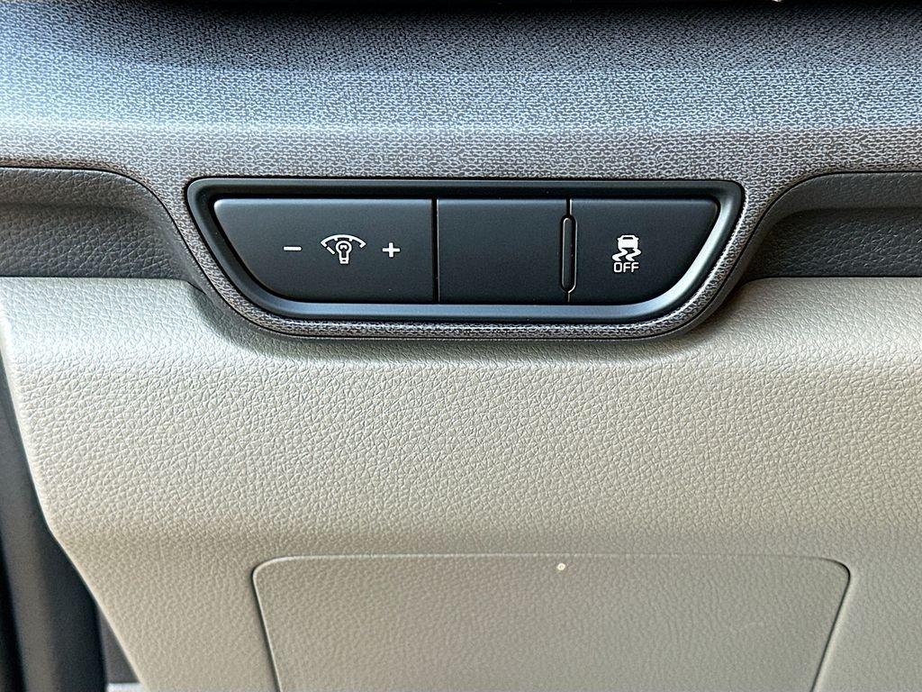 Kia Carnival Mpv Ex - Thumbnail 11