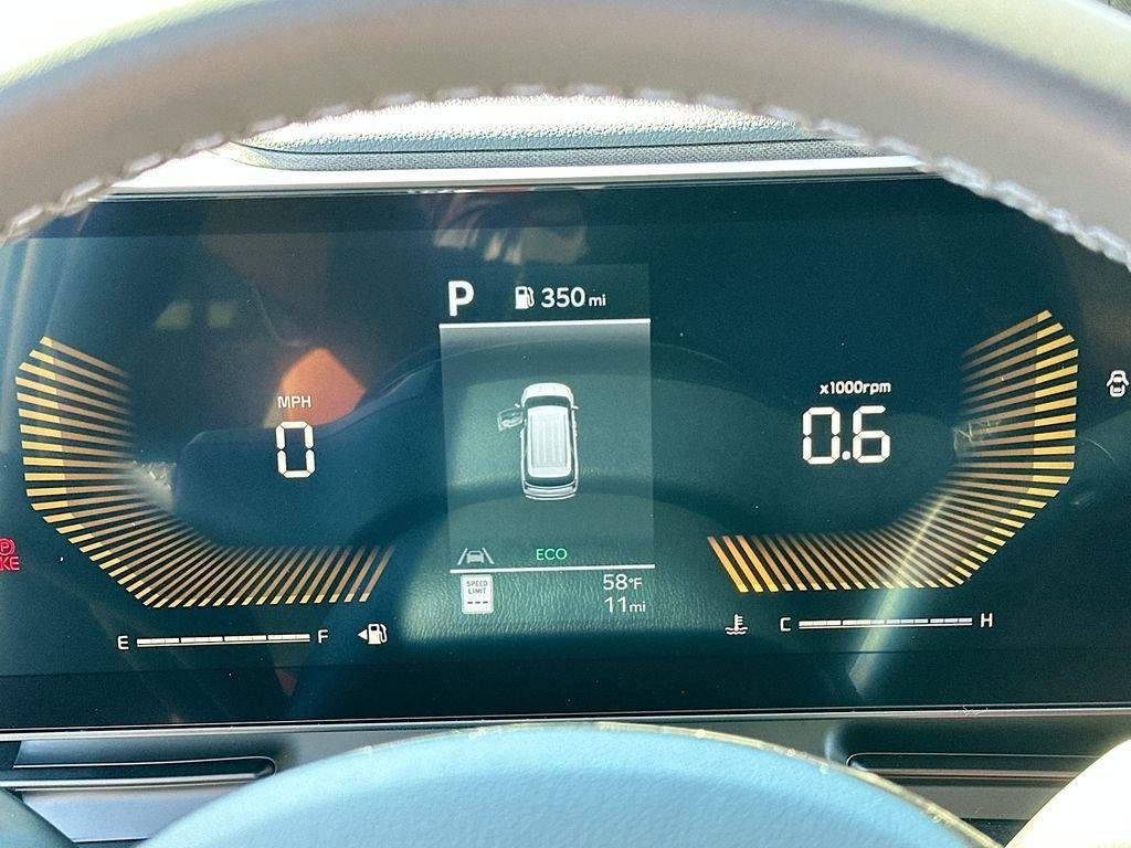 Kia Carnival Mpv Ex - Thumbnail 13