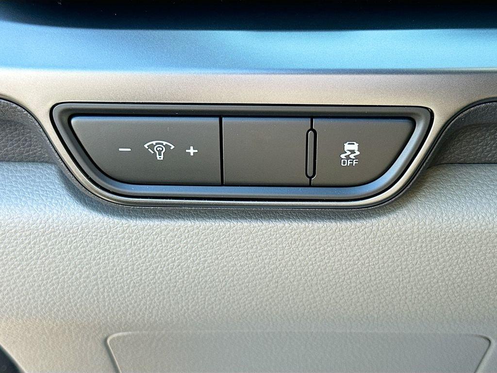 Kia Carnival Mpv Lxs - Thumbnail 11