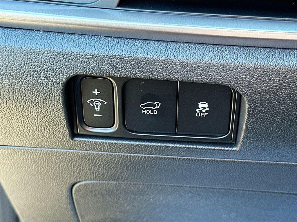 Kia Sorento Hybrid Ex - Thumbnail 11