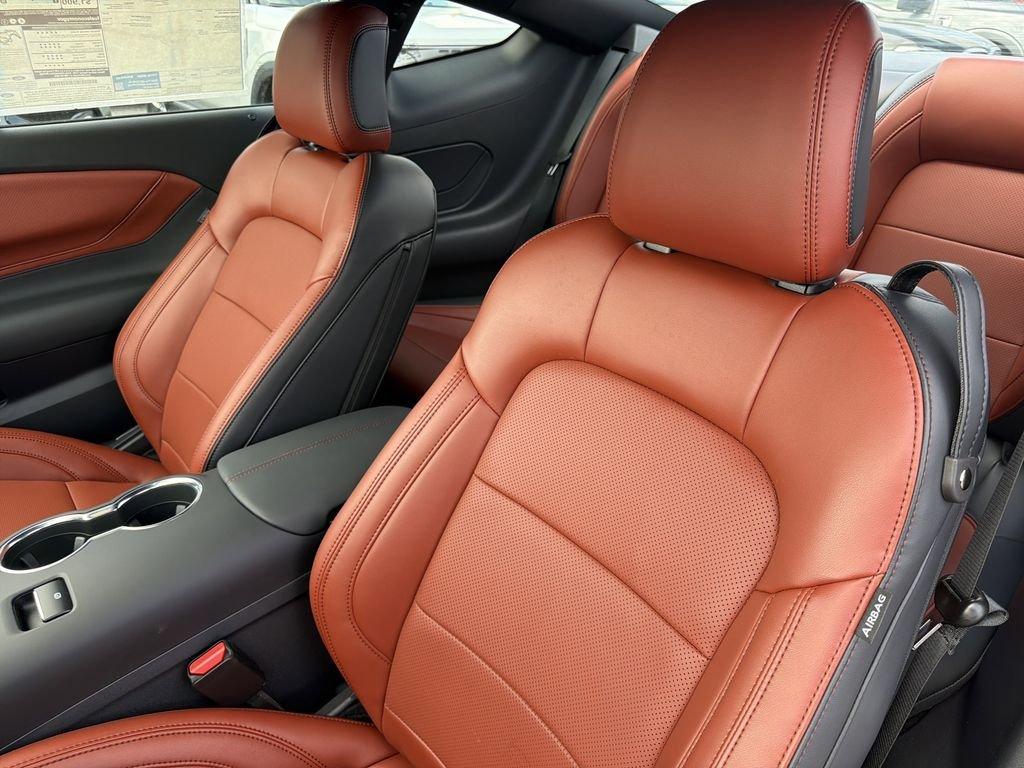 Ford Mustang Ecoboost® Premium Fastback - Thumbnail 15