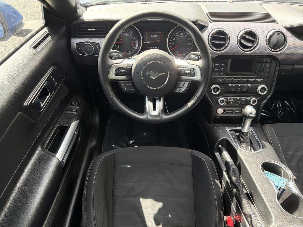 Ford Mustang Ecoboost - Thumbnail 16