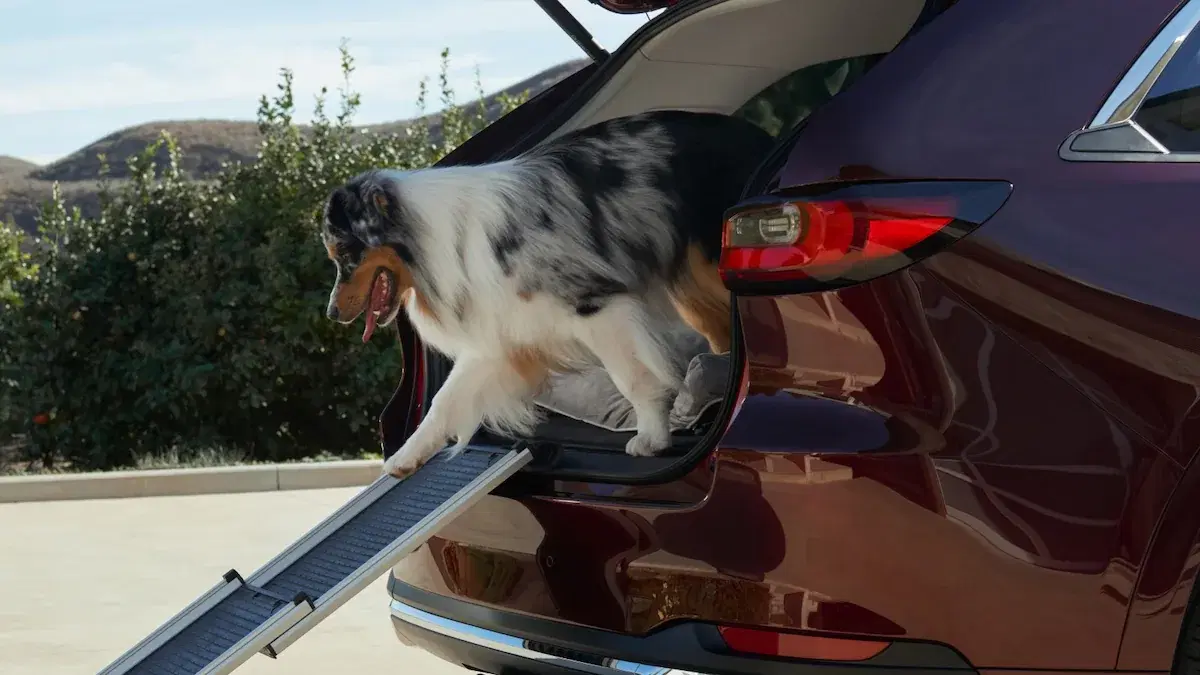 Mazda Cx-90 | Mazda Of North Miami | Florida Dealership - Thumbnail 2