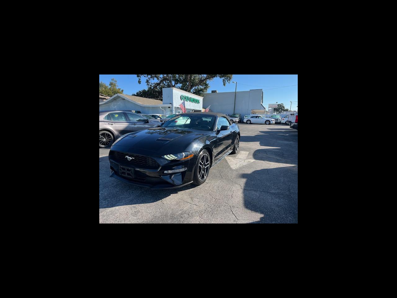 Ford Mustang - Thumbnail 4